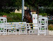Albanesi Lady Date GioCav2013 S5 1134 : Albanesi Giorgia, Campionati Italiani Giovani Cavalli, Cattolica, Lady Date, ph Stefano Secchi ©